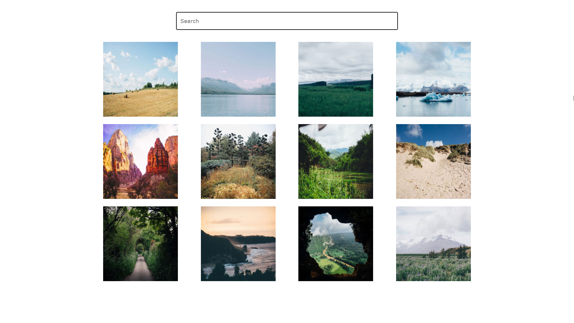 photo gallery